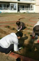 花の苗植え中