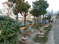 八雲中学校庭園