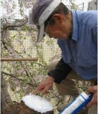 環境整備活動