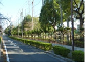 見通しがよくなった道路沿いの様子