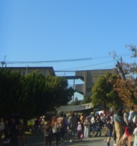 フェスティバル様子1