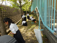 清掃活動1