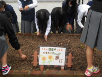 命のひまわりプロジェクト