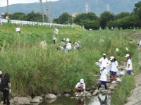 河川清掃活動