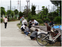 クリーン津田大作戦のようす