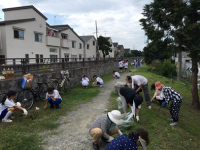 画像です。地区一斉奉仕活動2