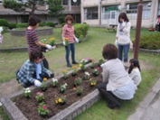 花壇の整備4