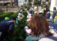 大人と一緒になって1