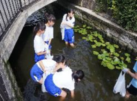 御領水路の美化活動2
