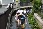 せせらぎ水郷2