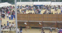 キューピット祭り