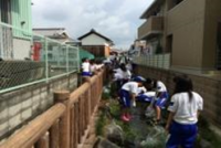 用水路美化運動1
