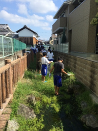 取組み前