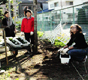 花を植え替える様子