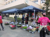 生徒会がユニセフに寄付するために植木・花の購入を呼びかけるようす