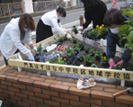 花壇の世話
