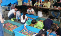 7中校区フェスティバル2