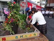 植栽式2