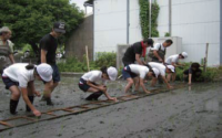 田植え