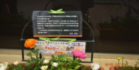 校区美化2
