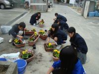 学校内に花を植える活動のようす
