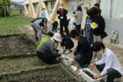 花壇の整備ボランティア2
