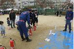 フェスティバル2
