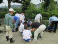美化ボランティア