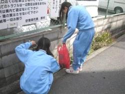 地域清掃の様子