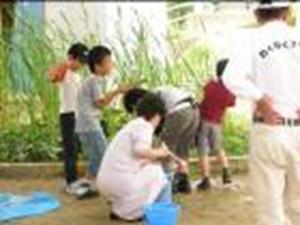 竹を使って水てっぽうを作りました