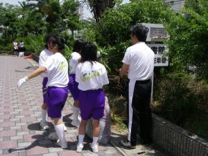 小学生と中学生の協同作業