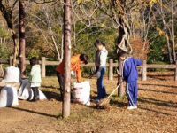 平成29年度 美化活動の様子1