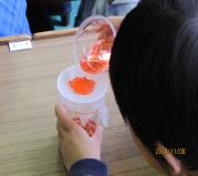 科学実験1