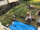 稲作体験活動の様子3