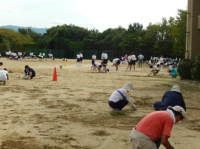 体育大会前の草抜き