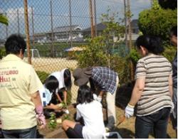 花を植える様子