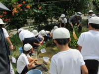 環境学習1