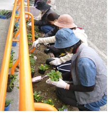 花ボランティアの様子