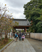 歴史探訪