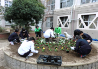 花を植える様子2