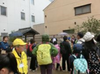 芝生の上での運動会のようす