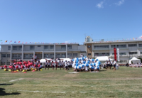 芝生上で運動会