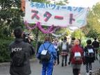 子育て秋祭り2