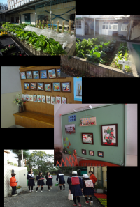 学校菜園への支援