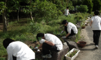 学校花いっぱい作戦のようす1