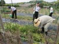 学校菜園への支援