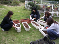 花、やさいの種植えのようす