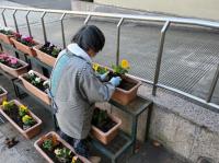 野村中学校（令和2年度）花と緑のボランティア1