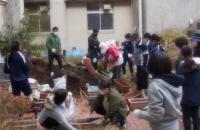 葛城中学校（令和2年度）花と緑のボランティア1