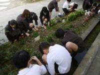 春木中学校（令和2年度）園芸活動